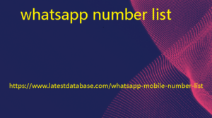 whatsapp number list